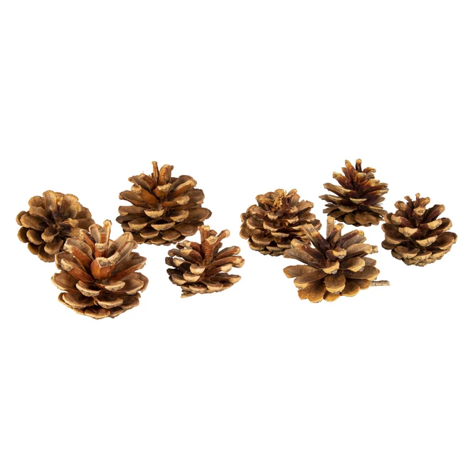 Tannenzapfen - Aus Holz - Ca. 6 Cm - 8 Stück 1 Tannenzapfen - Aus Holz - Ca. 6 Cm - 8 Stück